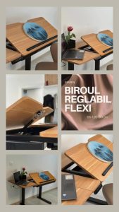 Scaune, scaune ergonomice, birouri reglabile, mobilier personalizat 22 Scaune, scaune ergonomice, birouri reglabile, mobilier personalizat