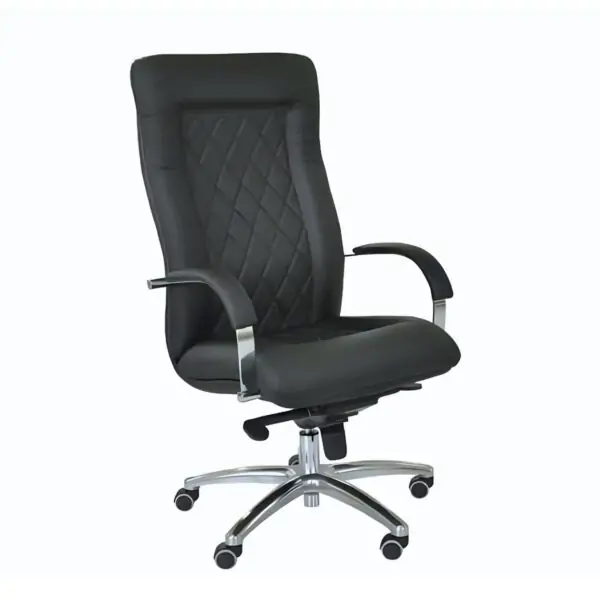 Scaun directorial Donald P Maren