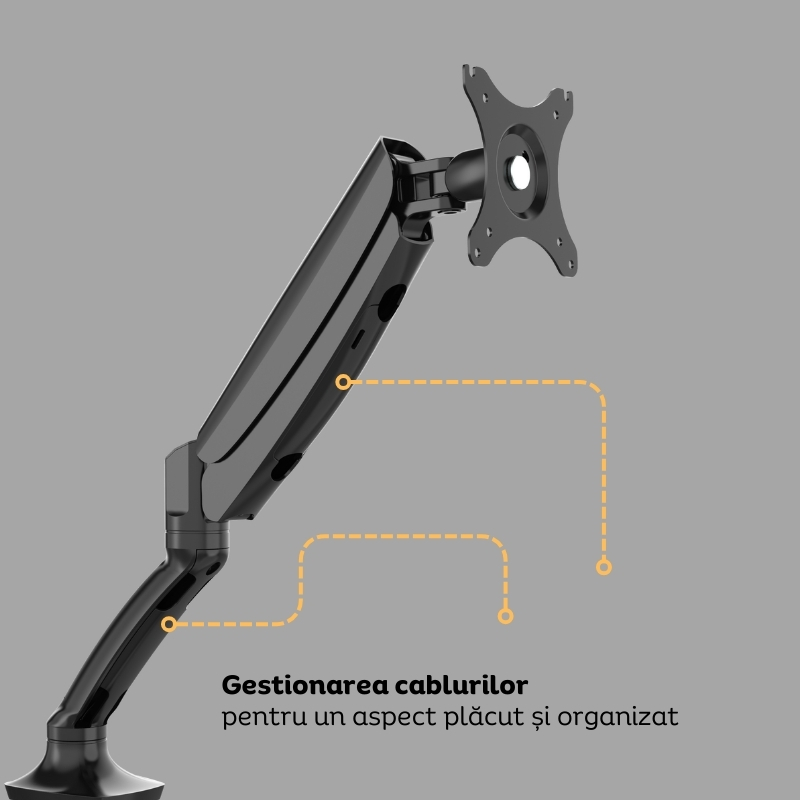 Suport monitor ErgoLift 5 Suport monitor ErgoLift
