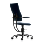 Scaun Spinalis Apollo - imagine 6