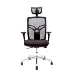 Scaun ergonomic X8 Maren