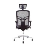 Scaun ergonomic X8 Maren