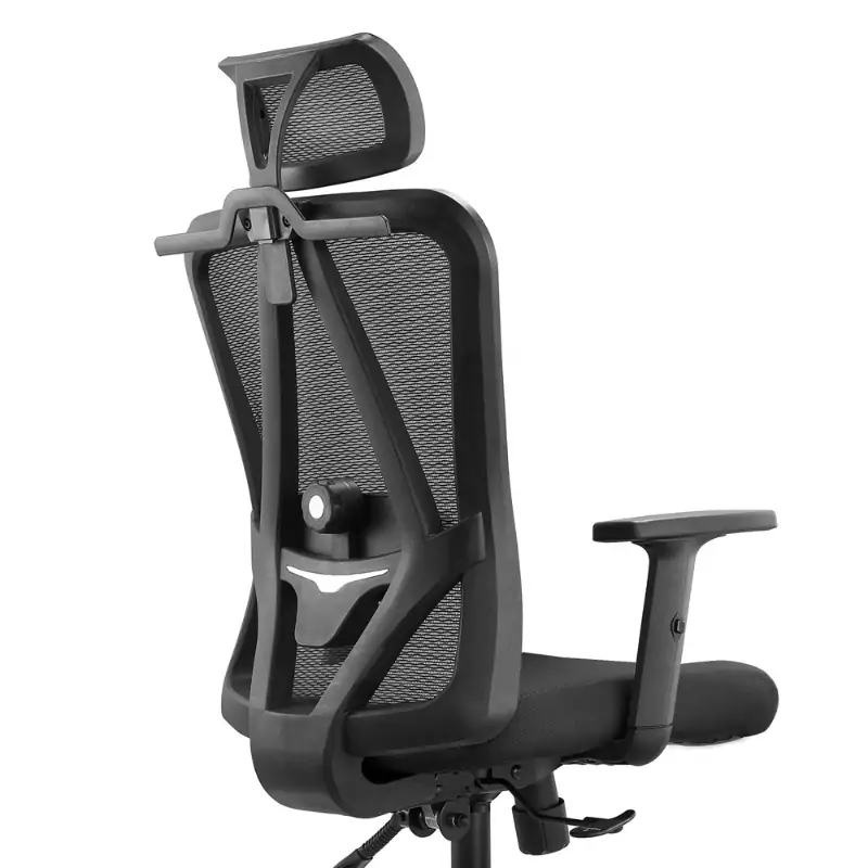 Scaun ergonomic Racy H cu spătar mesh, tetieră 2D, suport lombar 2D - imagine 5