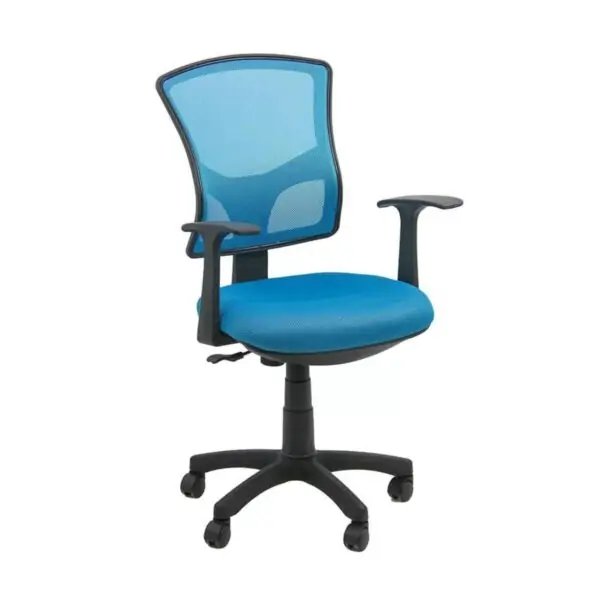 Scaun copii Dino II Maren