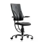 Scaun Spinalis Apollo Maren