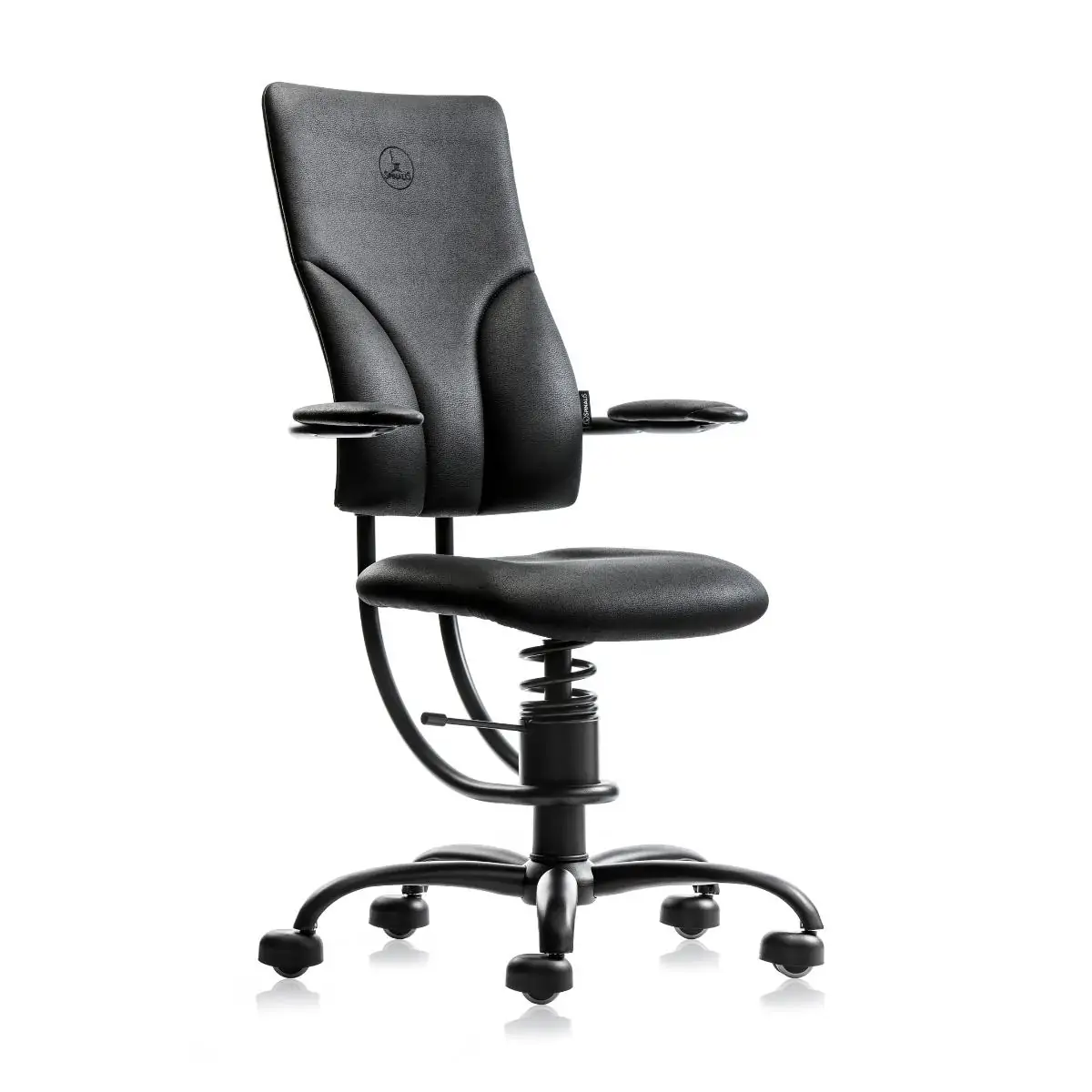 Scaun Spinalis Apollo Maren