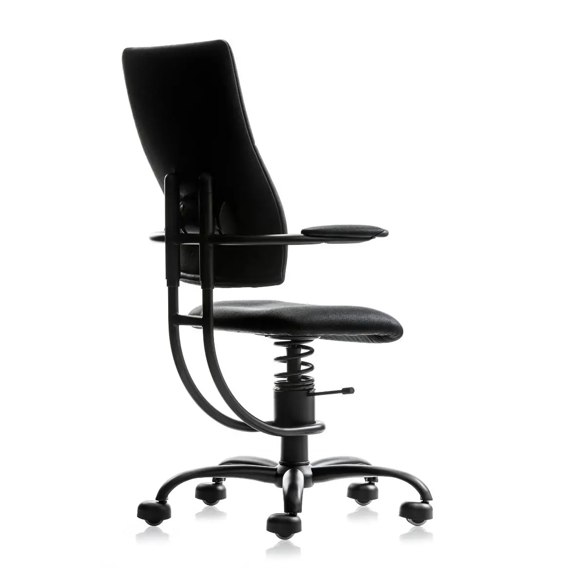 Scaun Spinalis Apollo Maren