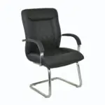 Scaun Donald V Maren