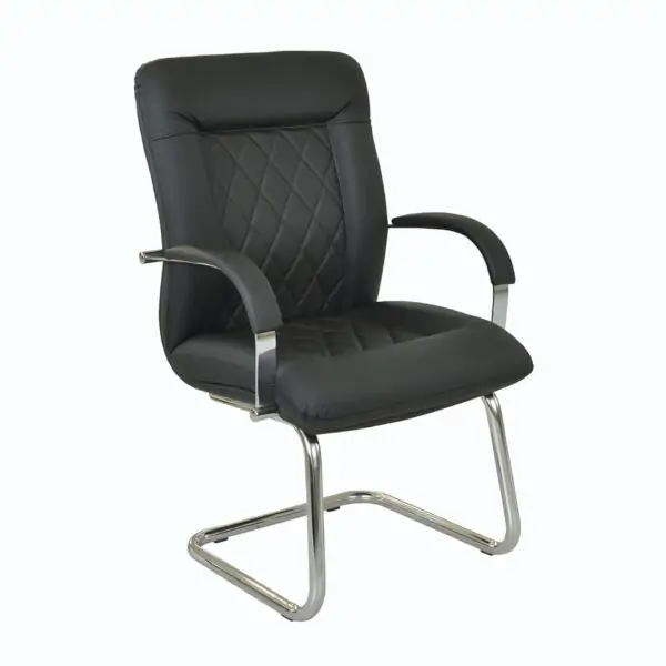 Scaun Donald V Maren