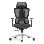 scaun apex full mesh