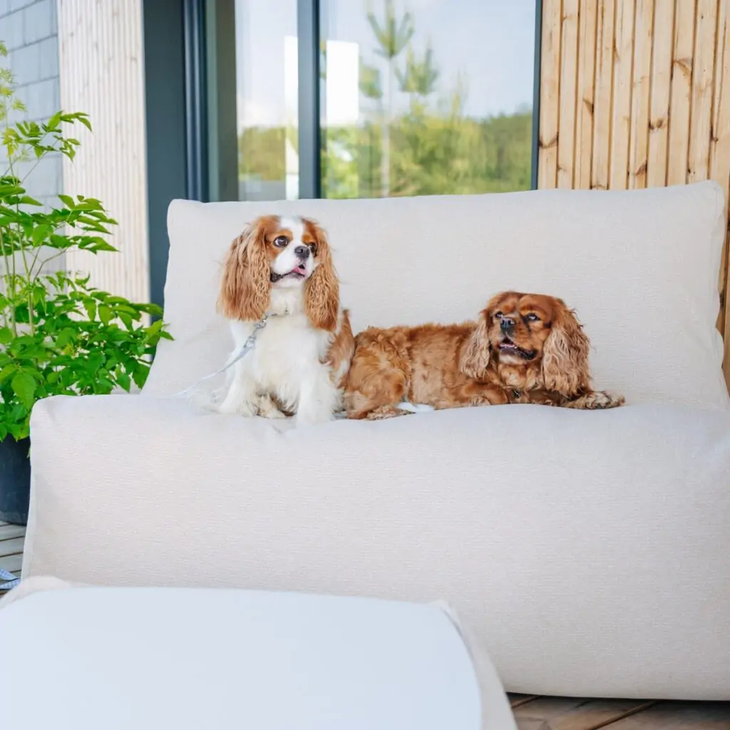 Fotoliu puf Sofa Seat