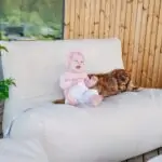 bean bag sofa seat