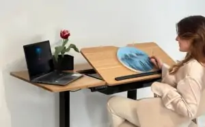 Scaune, scaune ergonomice, birouri reglabile, mobilier personalizat