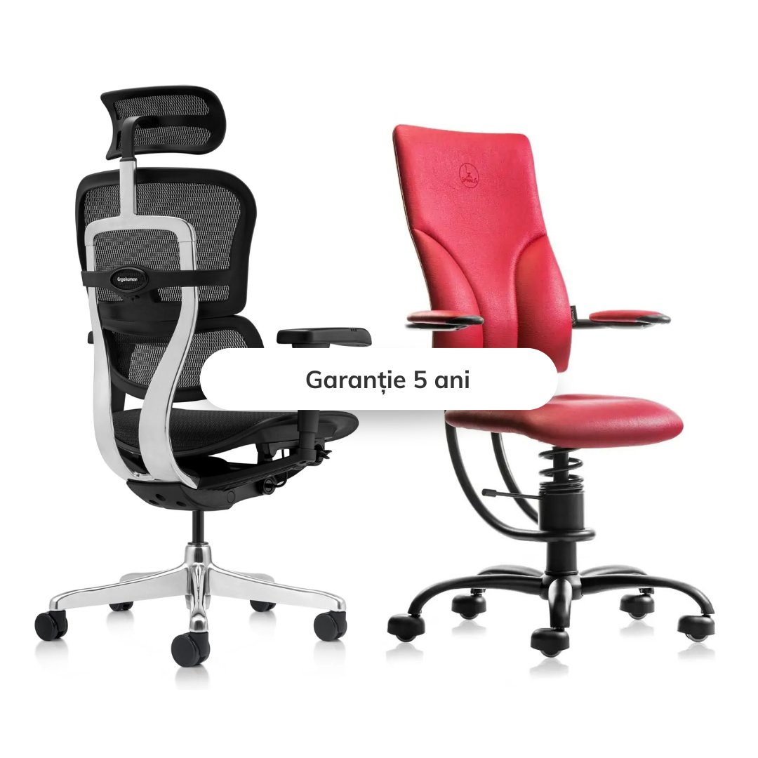Scaune ergonomice cu garanție de 5 ani – Investiția care îți oferă liniște ani de zile 1 Garantie 5 ani - Maren